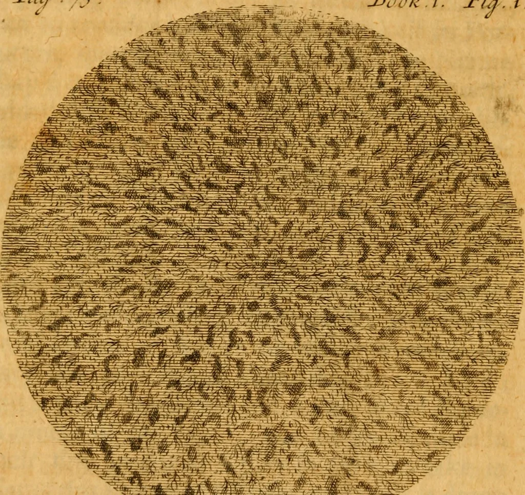 An illustration from The Sacred theory of the earth : containing an account of the original of the earth and of all the general changes which it hath already undergone, or is to undergo, till the consumation of all things, 1719, leaf 115