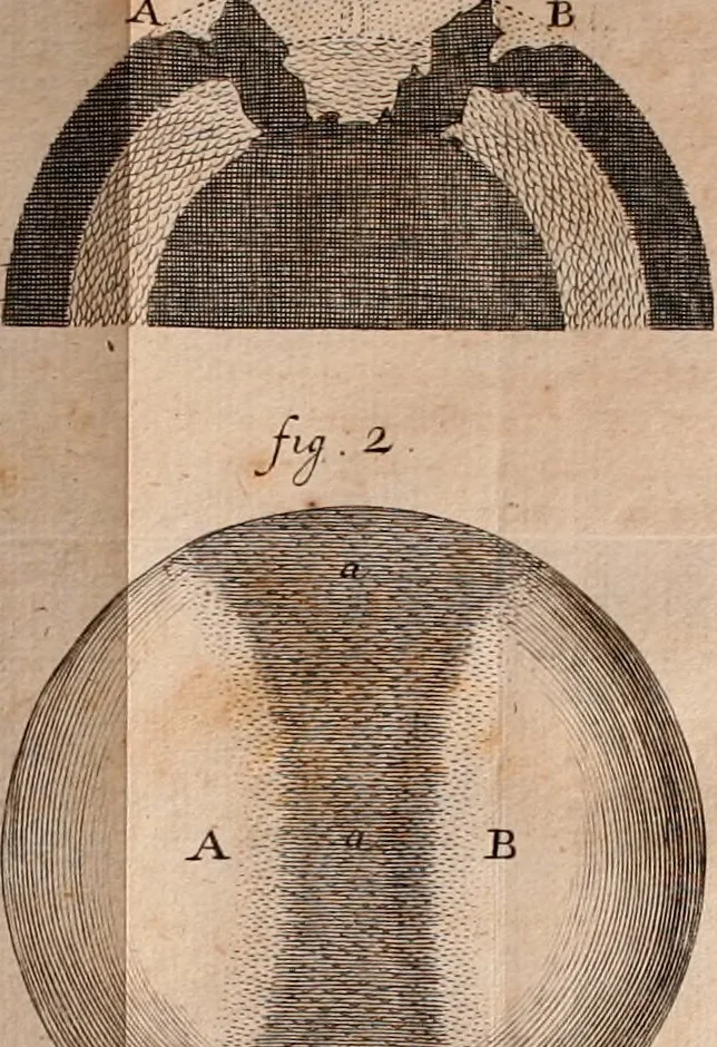 An illustration from The Sacred theory of the earth : containing an account of the original of the earth and of all the general changes which it hath already undergone, or is to undergo, till the consumation of all things, 1719, leaf 237