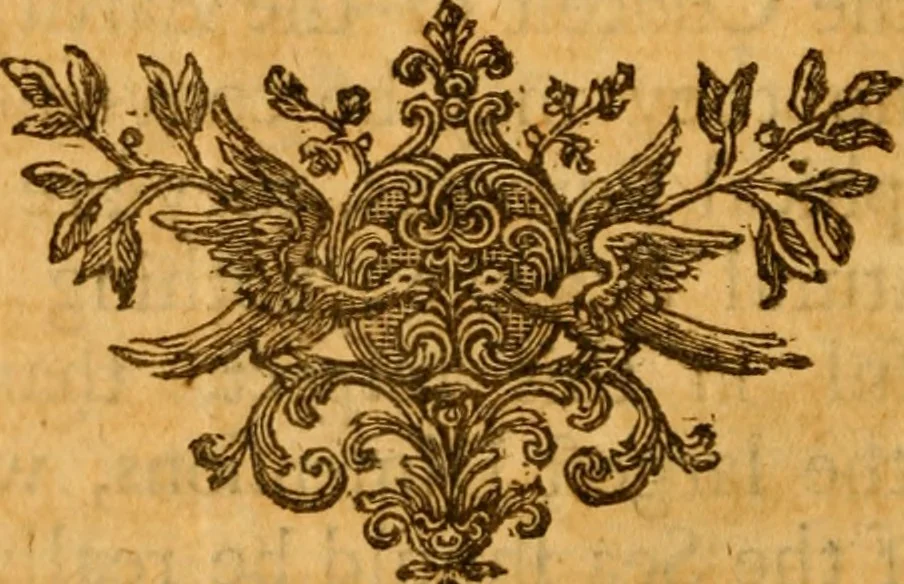 An illustration from The Sacred theory of the earth : containing an account of the original of the earth and of all the general changes which it hath already undergone, or is to undergo, till the consumation of all things, 1719, leaf 265