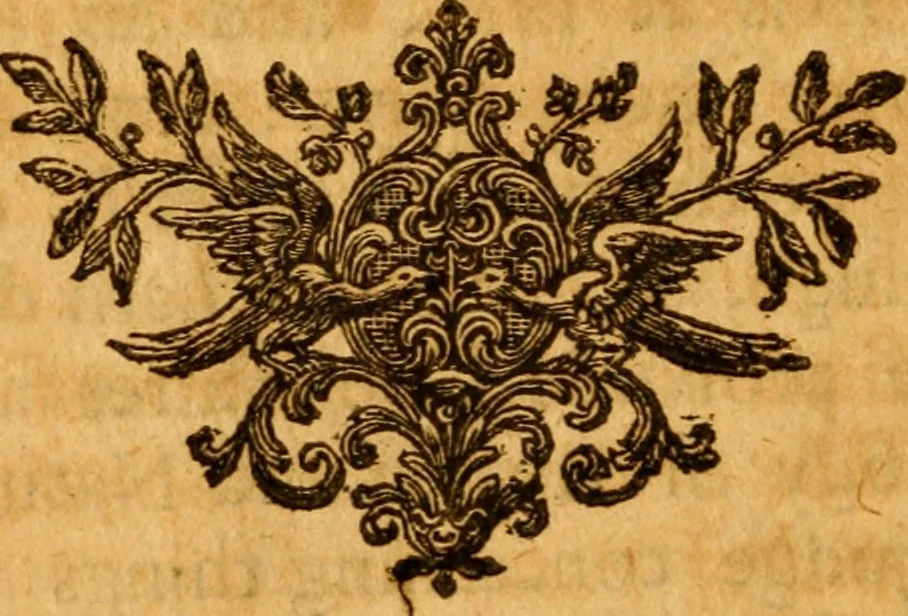 An illustration from The Sacred theory of the earth : containing an account of the original of the earth and of all the general changes which it hath already undergone, or is to undergo, till the consumation of all things, 1719, leaf 293