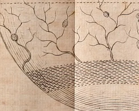 An illustration from The Sacred theory of the earth : containing an account of the original of the earth and of all the general changes which it hath already undergone, or is to undergo, till the consumation of all things, 1719, leaf 379