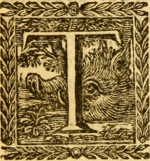 An illustration from The Sacred theory of the earth : containing an account of the original of the earth and of all the general changes which it hath already undergone, or is to undergo, till the consumation of all things, 1719, leaf 566