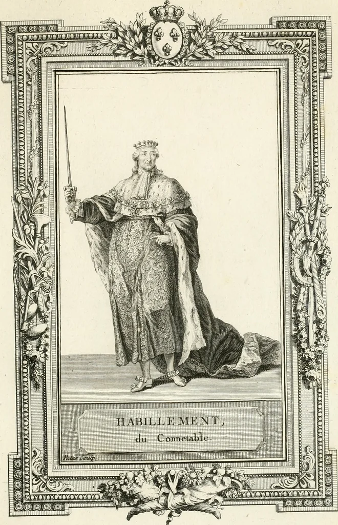 An illustration from Sacre et couronnement de Louis XVI roi de France et de Navarre à Rheims, le 11 juin 1775 : précédé de Recherches sur le sacre des rois de France, depuis Clovis jusqu'a Louis XV : et suivi d'un Journal historique de ce qui s'est passé a cette auguste cérémonie : enrichi d'un très-grand nombre de figures en taille-douce, gravées par le sieur Patas, avec leurs explications, 1775, leaf 316
