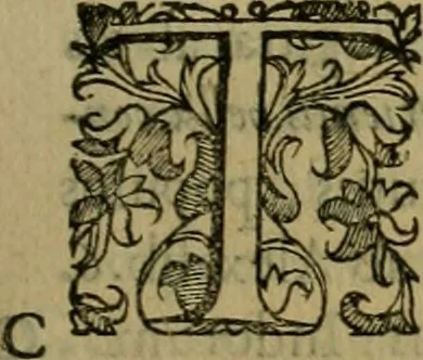An illustration from Sacrorum elaeochrismaton myrothecium sacroprophanum : in quo ex antiquis Graecis at Latinis scriptoribus quidquid ad nomina, antiquitatem, vsum & abusum oleorum & vnguentorum ex sacris habetur litteris dilucidè explicatur, 1625, leaf 132