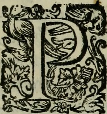 An illustration from Sacrorum elaeochrismaton myrothecium sacroprophanum : in quo ex antiquis Graecis at Latinis scriptoribus quidquid ad nomina, antiquitatem, vsum & abusum oleorum & vnguentorum ex sacris habetur litteris dilucidè explicatur, 1625, leaf 14