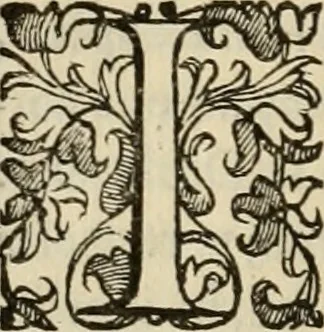 An illustration from Sacrorum elaeochrismaton myrothecium sacroprophanum : in quo ex antiquis Graecis at Latinis scriptoribus quidquid ad nomina, antiquitatem, vsum & abusum oleorum & vnguentorum ex sacris habetur litteris dilucidè explicatur, 1625, leaf 149