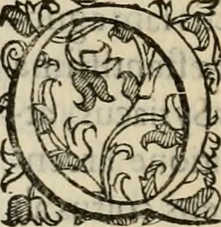An illustration from Sacrorum elaeochrismaton myrothecium sacroprophanum : in quo ex antiquis Graecis at Latinis scriptoribus quidquid ad nomina, antiquitatem, vsum & abusum oleorum & vnguentorum ex sacris habetur litteris dilucidè explicatur, 1625, leaf 157