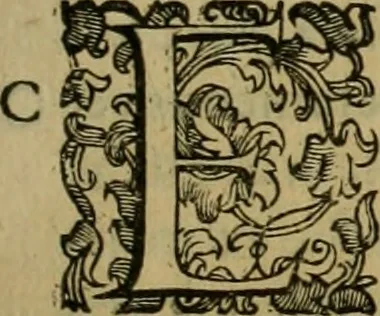 An illustration from Sacrorum elaeochrismaton myrothecium sacroprophanum : in quo ex antiquis Graecis at Latinis scriptoribus quidquid ad nomina, antiquitatem, vsum & abusum oleorum & vnguentorum ex sacris habetur litteris dilucidè explicatur, 1625, leaf 164