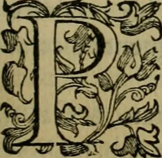 An illustration from Sacrorum elaeochrismaton myrothecium sacroprophanum : in quo ex antiquis Graecis at Latinis scriptoribus quidquid ad nomina, antiquitatem, vsum & abusum oleorum & vnguentorum ex sacris habetur litteris dilucidè explicatur, 1625, leaf 172