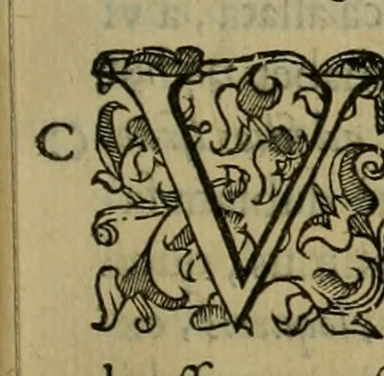 An illustration from Sacrorum elaeochrismaton myrothecium sacroprophanum : in quo ex antiquis Graecis at Latinis scriptoribus quidquid ad nomina, antiquitatem, vsum & abusum oleorum & vnguentorum ex sacris habetur litteris dilucidè explicatur, 1625, leaf 180
