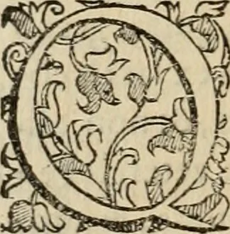 An illustration from Sacrorum elaeochrismaton myrothecium sacroprophanum : in quo ex antiquis Graecis at Latinis scriptoribus quidquid ad nomina, antiquitatem, vsum & abusum oleorum & vnguentorum ex sacris habetur litteris dilucidè explicatur, 1625, leaf 207