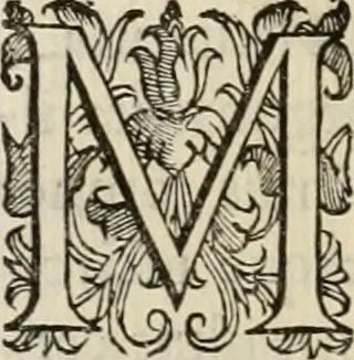 An illustration from Sacrorum elaeochrismaton myrothecium sacroprophanum : in quo ex antiquis Graecis at Latinis scriptoribus quidquid ad nomina, antiquitatem, vsum & abusum oleorum & vnguentorum ex sacris habetur litteris dilucidè explicatur, 1625, leaf 225