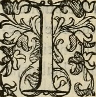 An illustration from Sacrorum elaeochrismaton myrothecium sacroprophanum : in quo ex antiquis Graecis at Latinis scriptoribus quidquid ad nomina, antiquitatem, vsum & abusum oleorum & vnguentorum ex sacris habetur litteris dilucidè explicatur, 1625, leaf 231