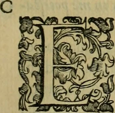 An illustration from Sacrorum elaeochrismaton myrothecium sacroprophanum : in quo ex antiquis Graecis at Latinis scriptoribus quidquid ad nomina, antiquitatem, vsum & abusum oleorum & vnguentorum ex sacris habetur litteris dilucidè explicatur, 1625, leaf 242