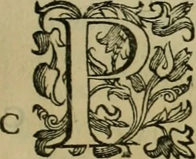 An illustration from Sacrorum elaeochrismaton myrothecium sacroprophanum : in quo ex antiquis Graecis at Latinis scriptoribus quidquid ad nomina, antiquitatem, vsum & abusum oleorum & vnguentorum ex sacris habetur litteris dilucidè explicatur, 1625, leaf 274