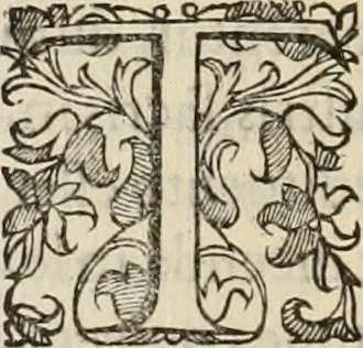 An illustration from Sacrorum elaeochrismaton myrothecium sacroprophanum : in quo ex antiquis Graecis at Latinis scriptoribus quidquid ad nomina, antiquitatem, vsum & abusum oleorum & vnguentorum ex sacris habetur litteris dilucidè explicatur, 1625, leaf 283