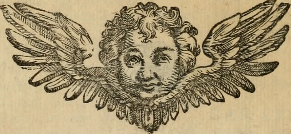 An illustration from Sacrorum elaeochrismaton myrothecium sacroprophanum : in quo ex antiquis Graecis at Latinis scriptoribus quidquid ad nomina, antiquitatem, vsum & abusum oleorum & vnguentorum ex sacris habetur litteris dilucidè explicatur, 1625, leaf 29