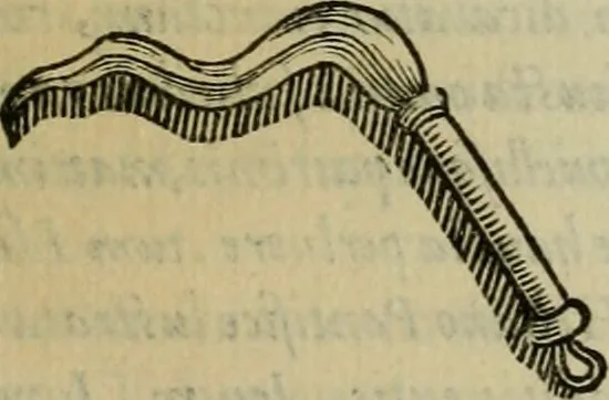 An illustration from Sacrorum elaeochrismaton myrothecium sacroprophanum : in quo ex antiquis Graecis at Latinis scriptoribus quidquid ad nomina, antiquitatem, vsum & abusum oleorum & vnguentorum ex sacris habetur litteris dilucidè explicatur, 1625, leaf 312