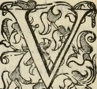An illustration from Sacrorum elaeochrismaton myrothecium sacroprophanum : in quo ex antiquis Graecis at Latinis scriptoribus quidquid ad nomina, antiquitatem, vsum & abusum oleorum & vnguentorum ex sacris habetur litteris dilucidè explicatur, 1625, leaf 327