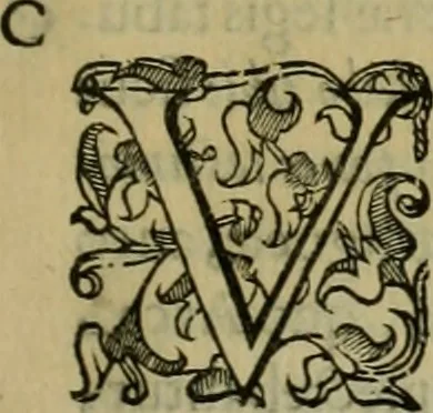 An illustration from Sacrorum elaeochrismaton myrothecium sacroprophanum : in quo ex antiquis Graecis at Latinis scriptoribus quidquid ad nomina, antiquitatem, vsum & abusum oleorum & vnguentorum ex sacris habetur litteris dilucidè explicatur, 1625, leaf 372