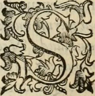 An illustration from Sacrorum elaeochrismaton myrothecium sacroprophanum : in quo ex antiquis Graecis at Latinis scriptoribus quidquid ad nomina, antiquitatem, vsum & abusum oleorum & vnguentorum ex sacris habetur litteris dilucidè explicatur, 1625, leaf 393