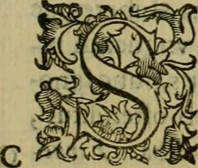 An illustration from Sacrorum elaeochrismaton myrothecium sacroprophanum : in quo ex antiquis Graecis at Latinis scriptoribus quidquid ad nomina, antiquitatem, vsum & abusum oleorum & vnguentorum ex sacris habetur litteris dilucidè explicatur, 1625, leaf 40