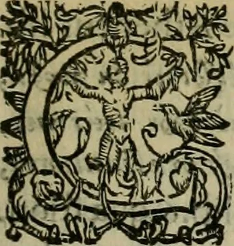 An illustration from Sacrorum elaeochrismaton myrothecium sacroprophanum : in quo ex antiquis Graecis at Latinis scriptoribus quidquid ad nomina, antiquitatem, vsum & abusum oleorum & vnguentorum ex sacris habetur litteris dilucidè explicatur, 1625, leaf 404