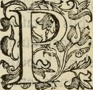 An illustration from Sacrorum elaeochrismaton myrothecium sacroprophanum : in quo ex antiquis Graecis at Latinis scriptoribus quidquid ad nomina, antiquitatem, vsum & abusum oleorum & vnguentorum ex sacris habetur litteris dilucidè explicatur, 1625, leaf 473
