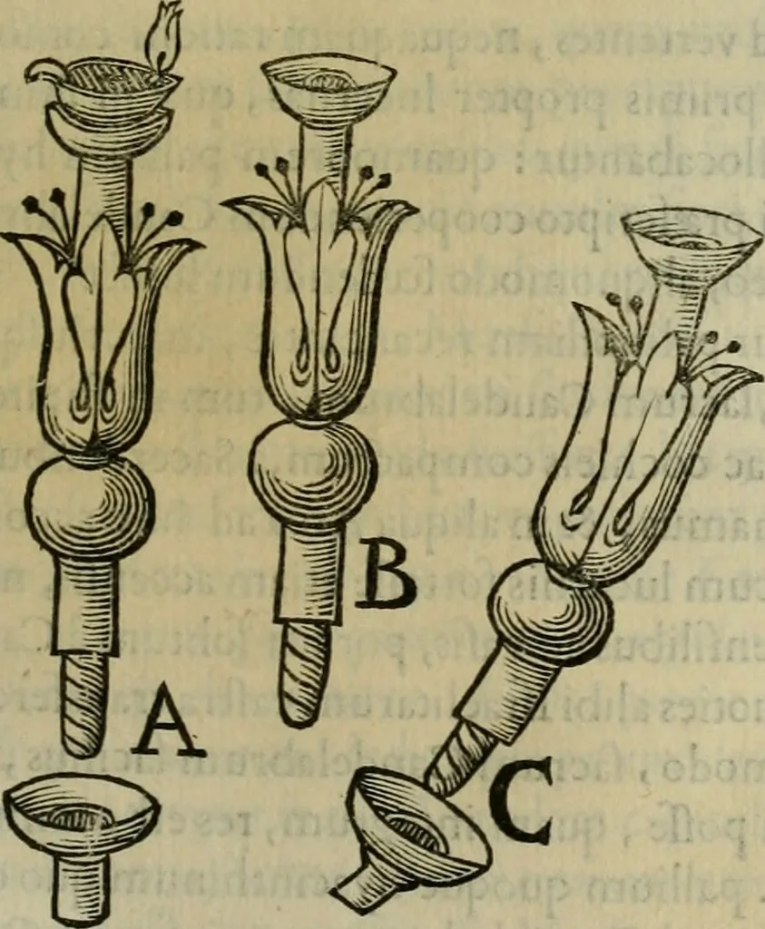 An illustration from Sacrorum elaeochrismaton myrothecium sacroprophanum : in quo ex antiquis Graecis at Latinis scriptoribus quidquid ad nomina, antiquitatem, vsum & abusum oleorum & vnguentorum ex sacris habetur litteris dilucidè explicatur, 1625, leaf 476