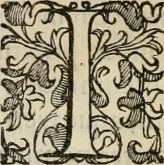 An illustration from Sacrorum elaeochrismaton myrothecium sacroprophanum : in quo ex antiquis Graecis at Latinis scriptoribus quidquid ad nomina, antiquitatem, vsum & abusum oleorum & vnguentorum ex sacris habetur litteris dilucidè explicatur, 1625, leaf 485