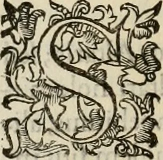 An illustration from Sacrorum elaeochrismaton myrothecium sacroprophanum : in quo ex antiquis Graecis at Latinis scriptoribus quidquid ad nomina, antiquitatem, vsum & abusum oleorum & vnguentorum ex sacris habetur litteris dilucidè explicatur, 1625, leaf 495