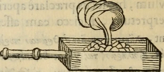 An illustration from Sacrorum elaeochrismaton myrothecium sacroprophanum : in quo ex antiquis Graecis at Latinis scriptoribus quidquid ad nomina, antiquitatem, vsum & abusum oleorum & vnguentorum ex sacris habetur litteris dilucidè explicatur, 1625, leaf 507