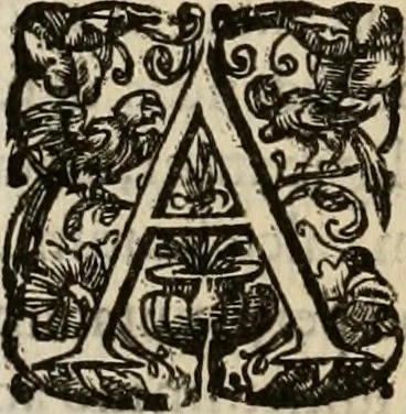 An illustration from Sacrorum elaeochrismaton myrothecium sacroprophanum : in quo ex antiquis Graecis at Latinis scriptoribus quidquid ad nomina, antiquitatem, vsum & abusum oleorum & vnguentorum ex sacris habetur litteris dilucidè explicatur, 1625, leaf 601