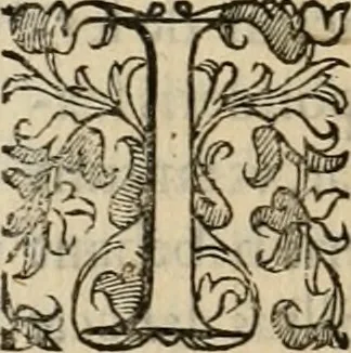 An illustration from Sacrorum elaeochrismaton myrothecium sacroprophanum : in quo ex antiquis Graecis at Latinis scriptoribus quidquid ad nomina, antiquitatem, vsum & abusum oleorum & vnguentorum ex sacris habetur litteris dilucidè explicatur, 1625, leaf 63