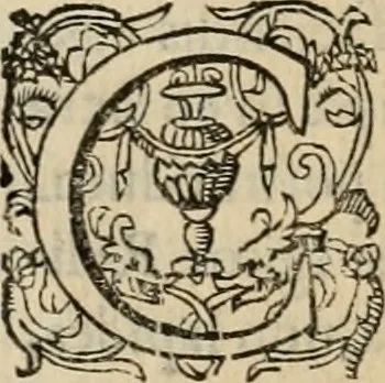 An illustration from Sacrorum elaeochrismaton myrothecium sacroprophanum : in quo ex antiquis Graecis at Latinis scriptoribus quidquid ad nomina, antiquitatem, vsum & abusum oleorum & vnguentorum ex sacris habetur litteris dilucidè explicatur, 1625, leaf 633