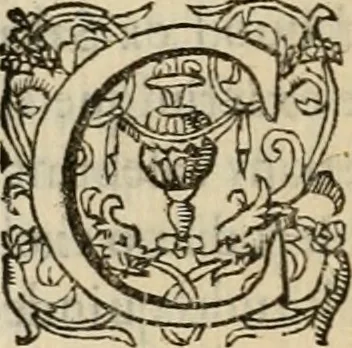 An illustration from Sacrorum elaeochrismaton myrothecium sacroprophanum : in quo ex antiquis Graecis at Latinis scriptoribus quidquid ad nomina, antiquitatem, vsum & abusum oleorum & vnguentorum ex sacris habetur litteris dilucidè explicatur, 1625, leaf 651
