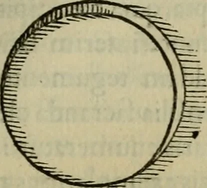 An illustration from Sacrorum elaeochrismaton myrothecium sacroprophanum : in quo ex antiquis Graecis at Latinis scriptoribus quidquid ad nomina, antiquitatem, vsum & abusum oleorum & vnguentorum ex sacris habetur litteris dilucidè explicatur, 1625, leaf 676
