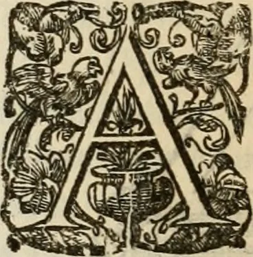 An illustration from Sacrorum elaeochrismaton myrothecium sacroprophanum : in quo ex antiquis Graecis at Latinis scriptoribus quidquid ad nomina, antiquitatem, vsum & abusum oleorum & vnguentorum ex sacris habetur litteris dilucidè explicatur, 1625, leaf 685