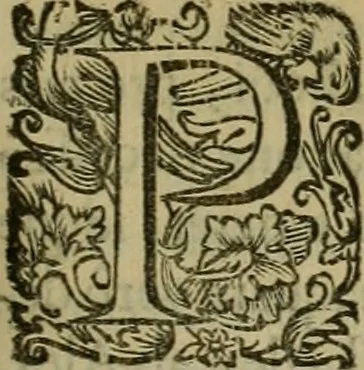An illustration from Sacrorum elaeochrismaton myrothecium sacroprophanum : in quo ex antiquis Graecis at Latinis scriptoribus quidquid ad nomina, antiquitatem, vsum & abusum oleorum & vnguentorum ex sacris habetur litteris dilucidè explicatur, 1625, leaf 694