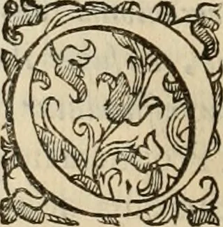 An illustration from Sacrorum elaeochrismaton myrothecium sacroprophanum : in quo ex antiquis Graecis at Latinis scriptoribus quidquid ad nomina, antiquitatem, vsum & abusum oleorum & vnguentorum ex sacris habetur litteris dilucidè explicatur, 1625, leaf 701