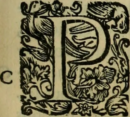 An illustration from Sacrorum elaeochrismaton myrothecium sacroprophanum : in quo ex antiquis Graecis at Latinis scriptoribus quidquid ad nomina, antiquitatem, vsum & abusum oleorum & vnguentorum ex sacris habetur litteris dilucidè explicatur, 1625, leaf 744