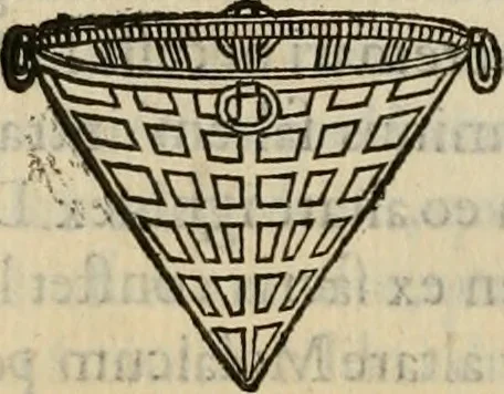 An illustration from Sacrorum elaeochrismaton myrothecium sacroprophanum : in quo ex antiquis Graecis at Latinis scriptoribus quidquid ad nomina, antiquitatem, vsum & abusum oleorum & vnguentorum ex sacris habetur litteris dilucidè explicatur, 1625, leaf 749