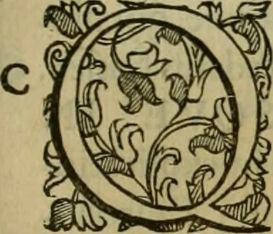 An illustration from Sacrorum elaeochrismaton myrothecium sacroprophanum : in quo ex antiquis Graecis at Latinis scriptoribus quidquid ad nomina, antiquitatem, vsum & abusum oleorum & vnguentorum ex sacris habetur litteris dilucidè explicatur, 1625, leaf 810