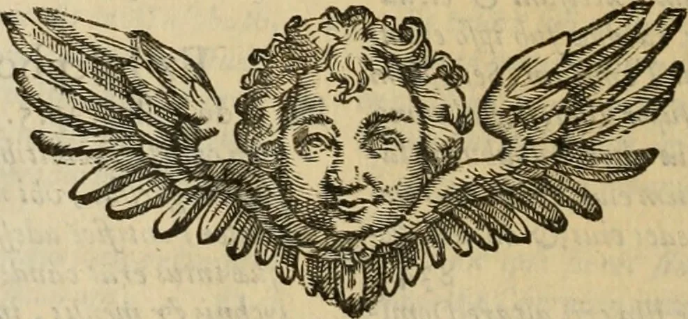 An illustration from Sacrorum elaeochrismaton myrothecium sacroprophanum : in quo ex antiquis Graecis at Latinis scriptoribus quidquid ad nomina, antiquitatem, vsum & abusum oleorum & vnguentorum ex sacris habetur litteris dilucidè explicatur, 1625, leaf 871