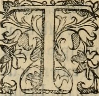 An illustration from Sacrorum elaeochrismaton myrothecium sacroprophanum : in quo ex antiquis Graecis at Latinis scriptoribus quidquid ad nomina, antiquitatem, vsum & abusum oleorum & vnguentorum ex sacris habetur litteris dilucidè explicatur, 1625, leaf 95