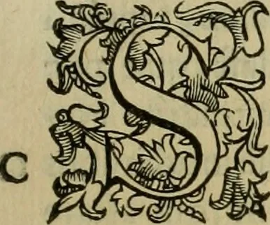 An illustration from Sacrorum elaeochrismaton myrothecium sacroprophanum : in quo ex antiquis Graecis at Latinis scriptoribus quidquid ad nomina, antiquitatem, vsum & abusum oleorum & vnguentorum ex sacris habetur litteris dilucidè explicatur, 1625, leaf 132