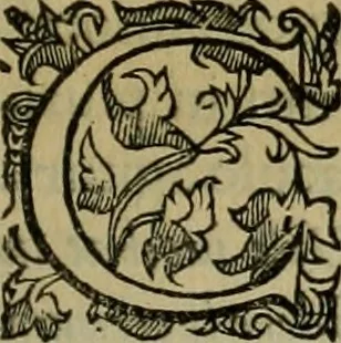 An illustration from Sacrorum elaeochrismaton myrothecium sacroprophanum : in quo ex antiquis Graecis at Latinis scriptoribus quidquid ad nomina, antiquitatem, vsum & abusum oleorum & vnguentorum ex sacris habetur litteris dilucidè explicatur, 1625, leaf 148