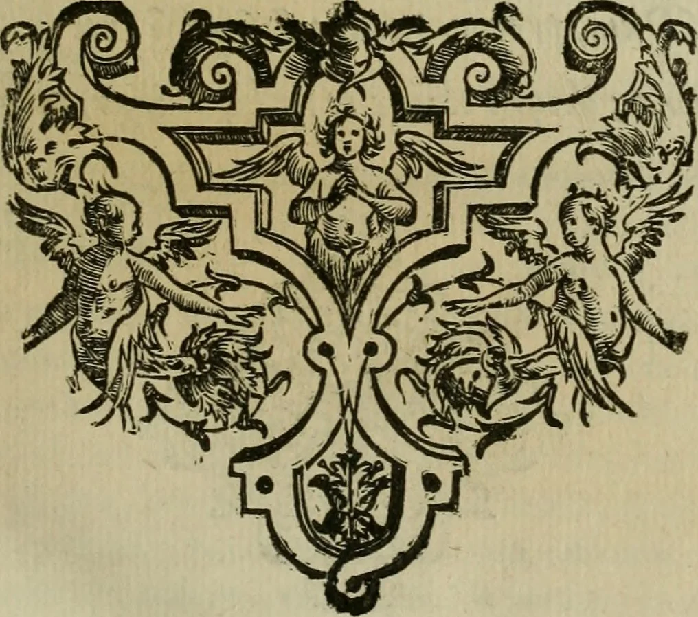 An illustration from Sacrorum elaeochrismaton myrothecium sacroprophanum : in quo ex antiquis Graecis at Latinis scriptoribus quidquid ad nomina, antiquitatem, vsum & abusum oleorum & vnguentorum ex sacris habetur litteris dilucidè explicatur, 1625, leaf 28