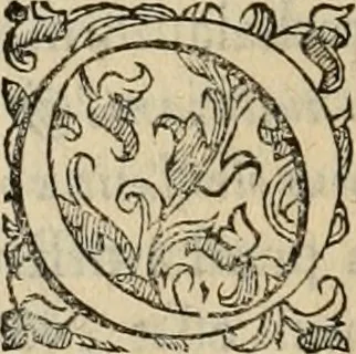 An illustration from Sacrorum elaeochrismaton myrothecium sacroprophanum : in quo ex antiquis Graecis at Latinis scriptoribus quidquid ad nomina, antiquitatem, vsum & abusum oleorum & vnguentorum ex sacris habetur litteris dilucidè explicatur, 1625, leaf 287