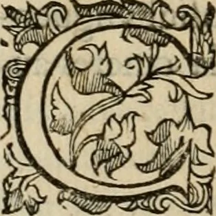 An illustration from Sacrorum elaeochrismaton myrothecium sacroprophanum : in quo ex antiquis Graecis at Latinis scriptoribus quidquid ad nomina, antiquitatem, vsum & abusum oleorum & vnguentorum ex sacris habetur litteris dilucidè explicatur, 1625, leaf 295